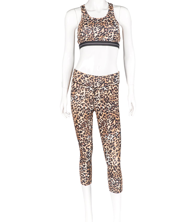 Mulheres leopardo impressão cintura alta 2 peças conjunto de fitness calças de treino yoga leggings ginásio esporte wear